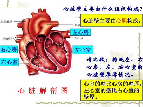 公务员体检一般是什么问题？